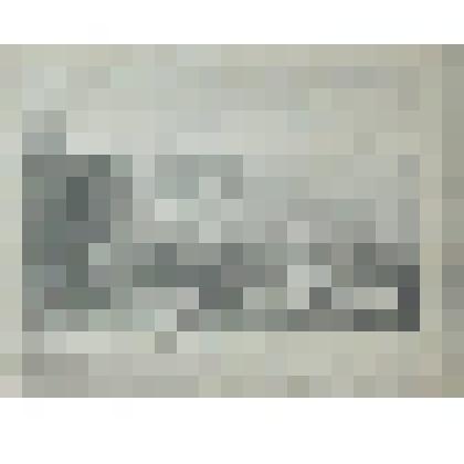 Царское село. Дворец его императорского величества. Вид на Большой Царскосельский дворец