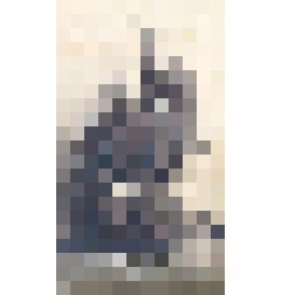 Семейный фотопортрет. Изображение мальчика и девочки в фотопавильоне М.Петрова. Новый Петергоф