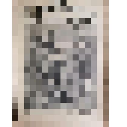 Петроградская газета, политическая и литературная №2, 1916 г