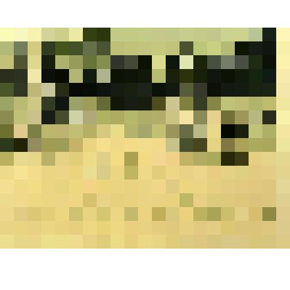 В зимнем лесу