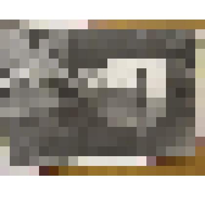 Фотография. Гротов Н.И.. Погиб в х. Верхне-Кумском 18.12.1942 г