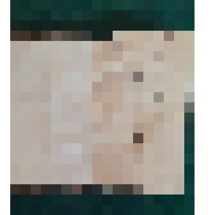 Книга:Дернов М.А. Главныя пасечныя работы. - С.-Петербург.-Издание А.Ф. Девриена"