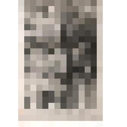 Фотография черно - белая групповая. Медсестра санатория «Ливадия» Вьюшичева Н.Н., сидящая с двумя женщинами под мамонтовым деревом в Ливадийском парке