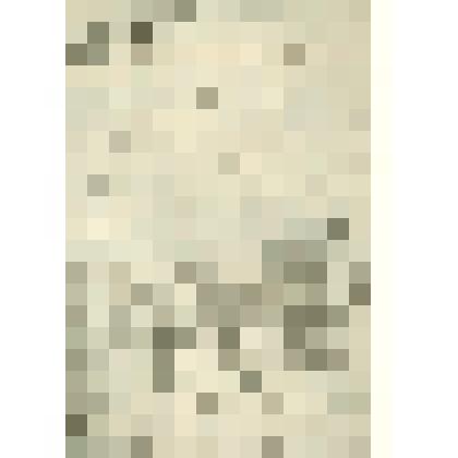 Рукопись. Историческая записка о церковных  школах Нижнетоимского Знаменского прихода, Сольвычегодскаго уезда, Вологодской епархии