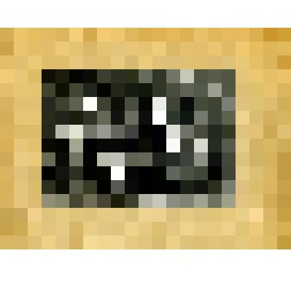 Фото на паспарту