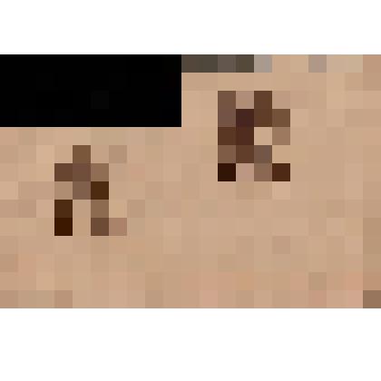 Эскиз. Книжный знак издательства "Свирель"