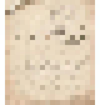 Телеграмма № 124 в г. Печерск В.Н.Алину от Головина из г. Усть-Цильмы, 12 июля