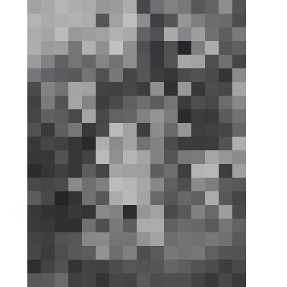 Святая дева