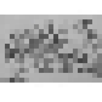 Портрет З.Н.Окуньковой