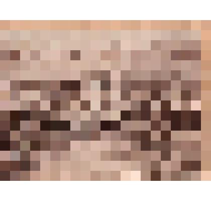 Фото. Праздник Святой Троицы 1903 г