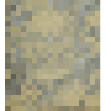 Мужской портрет