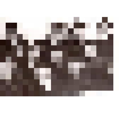 Фото. Учащиеся 8 класса Кирсинской школы, пришедшие учиться в ССПТУ № 133, 1979-82 учебные годы