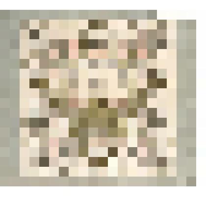 Платок.

Царь-освободитель Александр II и деятели его царствия