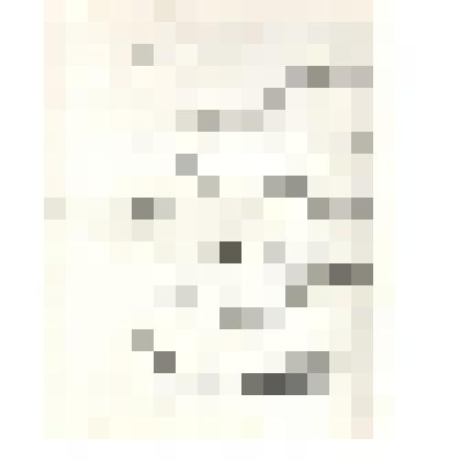 Фотокопия рукописи Н.И. Второва "Несколько заметок в пояснение к бумагам И.С. Никитина". Лист 29