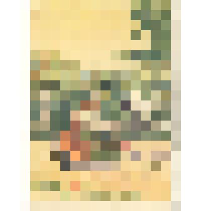 Открытка 1955 г., художник В.Кузьмин, ИЗОГИЗ