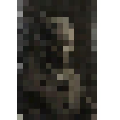 Фото. Асеев Н.Н