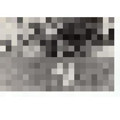 Ф/чб. Выпуск ЭВЗРКУ 1983 г.  Начальник УО п-к Макашов В.Я. зачитывает приказ Главкома войск ПВО с трибуны. Энгельс. 15.07.1983