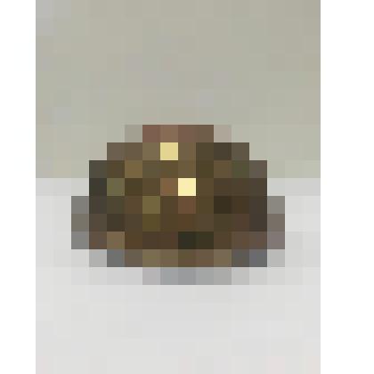 Половина шара. Фрагмент инсталляции