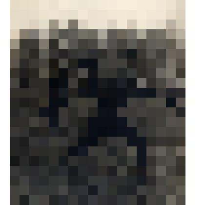 Фотография В.Л. Долгушина