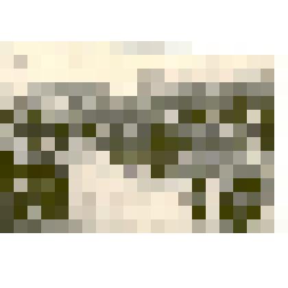 Фотография: генерал-майор Подшивайлов Денис Протасович в воинской части