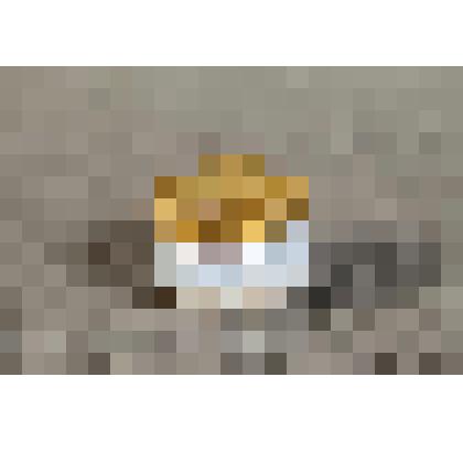 Песочница от прибора письменного настольного