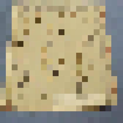 Ботаническая коллекция. Хвощ полевой, на гербарном листе, северный склон лощины горы Самохвал