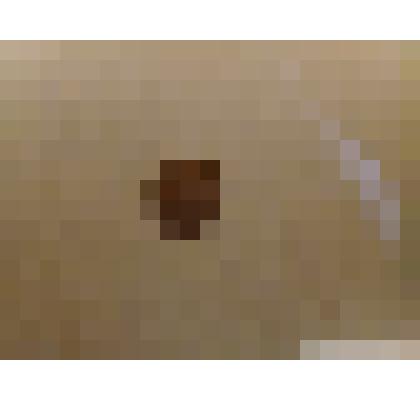 Монета 1 копейка 1990 г