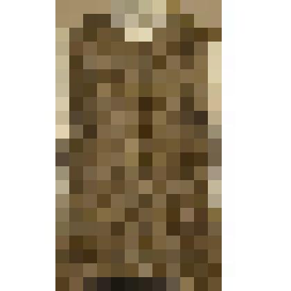 Жилет артиста Павла Соколова, исполнившего роль А.П.Чехова в спектакле "Остров Сахалин.Часть I" (режиссер А.Нордштрем). Из комплекта: Костюм-тройка