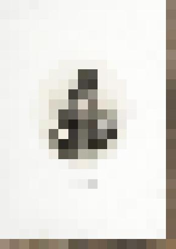 Портрет епископа Пензенского и Саранского Амвросия Морева