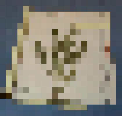 Ботаническая коллекция. Тысячелистник, семейство сложноцветные, на гербарном листе, Абакан, садик пединститута