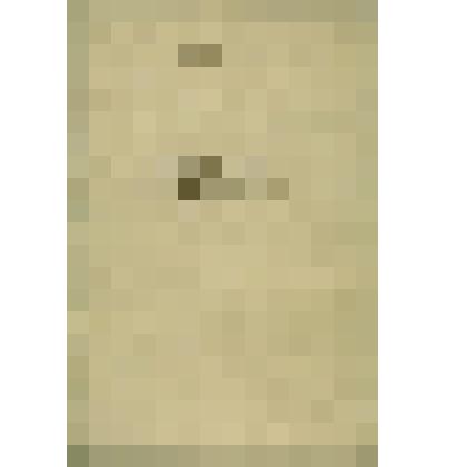 Книга для записи поступивших документов и резолюций на них