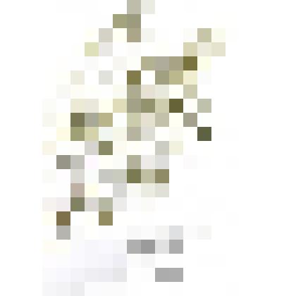 Гербарий
Спаржа даурская, Аспарагус даурский