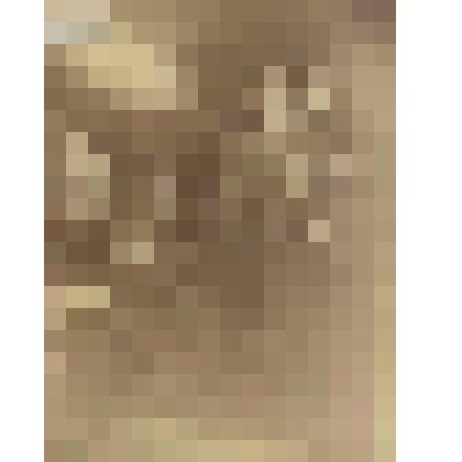 Фотография-сепия. Сортировка корреспонденции в почтовом вагоне