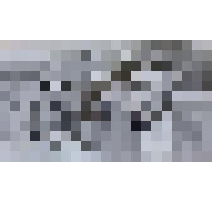 Фото. Богомолов И.И., механизатор из села Бобровка