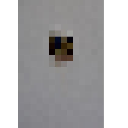 Значок "СТД РСФСР"