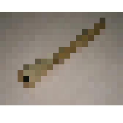 Рожок охотничий. Бельды Вячеслав Петрович, с. Омми, Амурский район, Хабаровский край