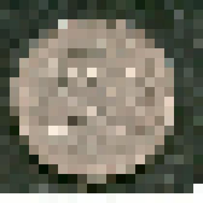 Монета 5 рублей