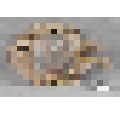 Картуш с клеймом "Благовещение"