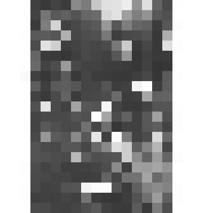 Маяковская Л.В., Хлестов Н.И. и Степанова Н.Г. (стоит)