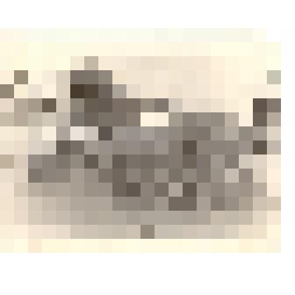 Фотография: снежный городок у Дома культуры по улице Первомайской г.Камень-на-Оби Алтайского края