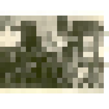 Фотография: занятия учащихся Каменского училища механизации сельского хозяйства по основам агрономии