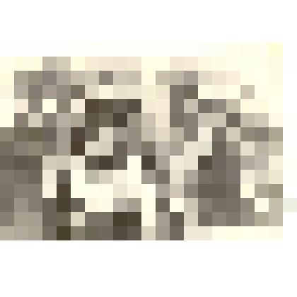 Фотография: демонстрация в Камне-на-Оби в день 40-летия советской пионерии