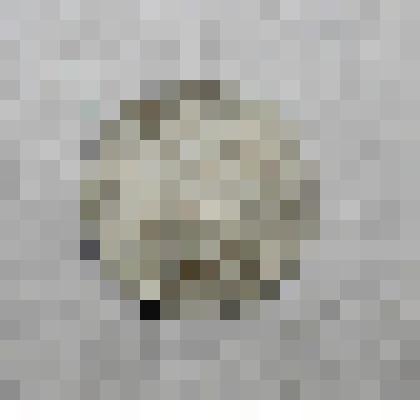 Монета советская достоинством 15 коп