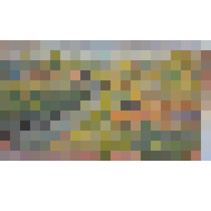 картина. «Карши»