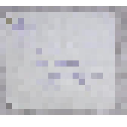 Справка о подтверждении места работы