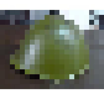 Каска армейская