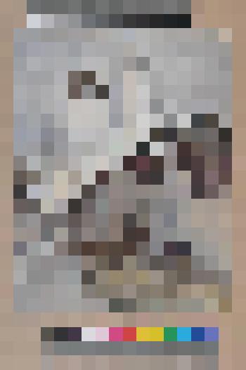 Рязанский кремль. Спасский монастырь