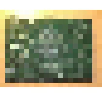 Папка Расторгуева Ф.Ф