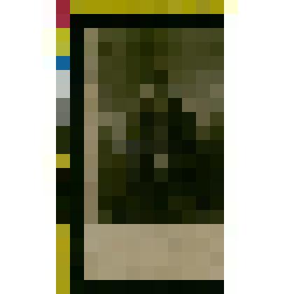 Портрет Кукольника Нестора Васильевича