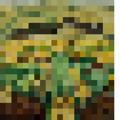 На лесопилке